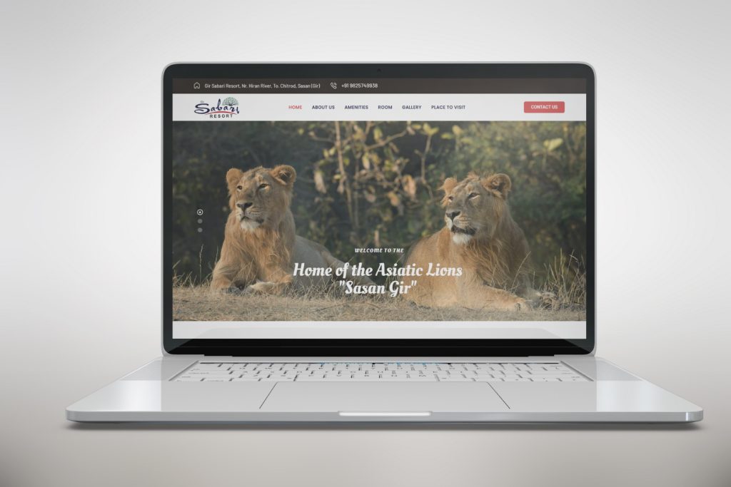 safari